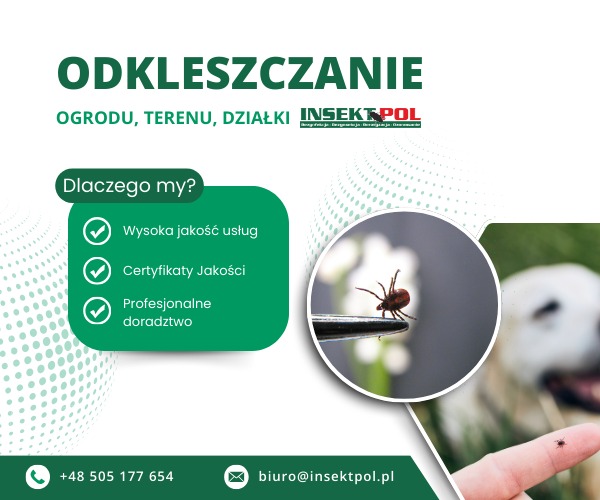 Odkleszczanie: kleszcz na pęsecie, pies w tle. Oferta firmy Insektpol z hasłami: wysoka jakość usług, certyfikaty jakości, profesjonalne doradztwo. Kontakt telefoniczny i mailowy.