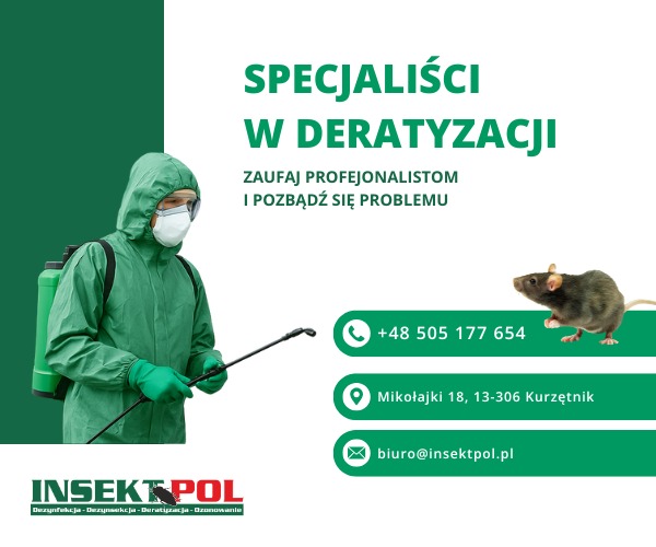 Specjalista w kombinezonie ochronnym z opryskiwaczem, obok szczur i dane kontaktowe firmy INSEKT-POL. Deratyzacja.