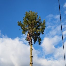Prace działkowe Mielec