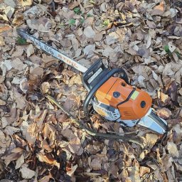 Wycinka drzew Mielec 4