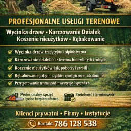 Wycinka drzew Mielec 1