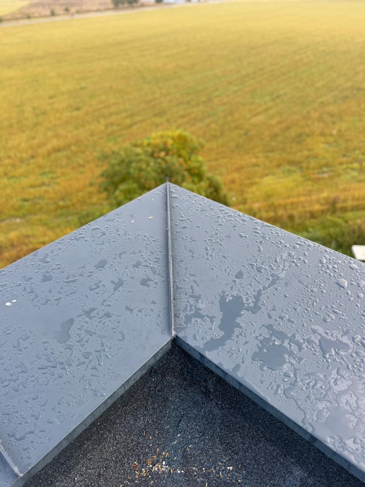 Szary, metalowy dach pokryty kroplami deszczu, widok z góry na łąkę i drzewo w tle. Widoczne łączenie blach na dachu.