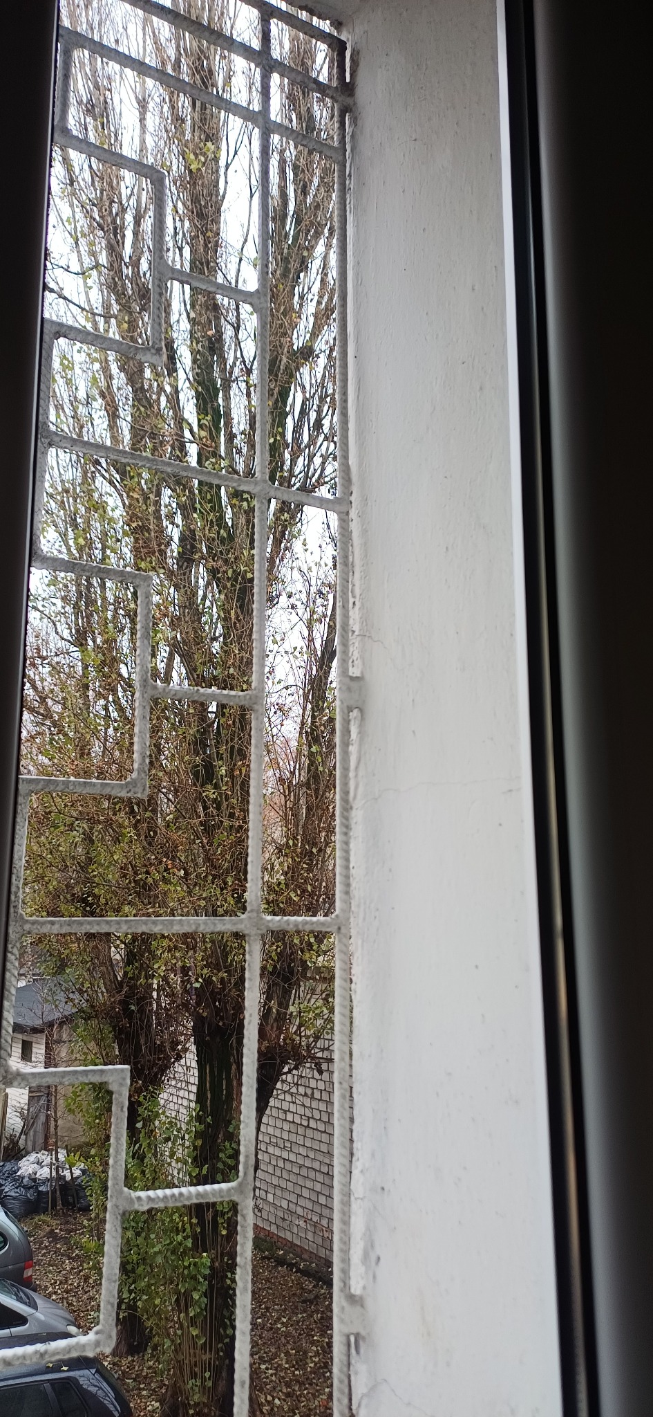 Widok z okna przez metalową kratę na drzewa z opadającymi liśćmi i fragment parkingu. Biała ściana z widocznymi niedoskonałościami po prawej stronie kadru.