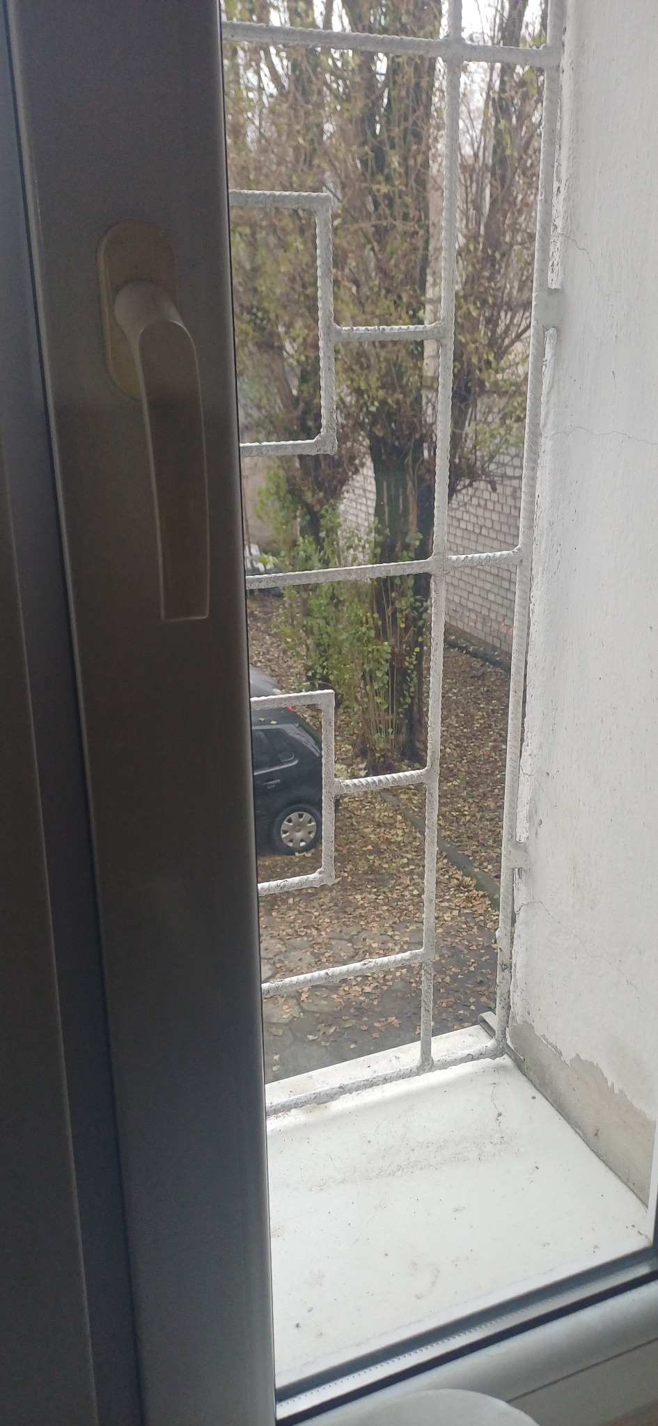 Widok z okna z kratą na zewnątrz, gdzie widać drzewa, liście i zaparkowany samochód. Okno jest brudne, co sugeruje potrzebę umycia.