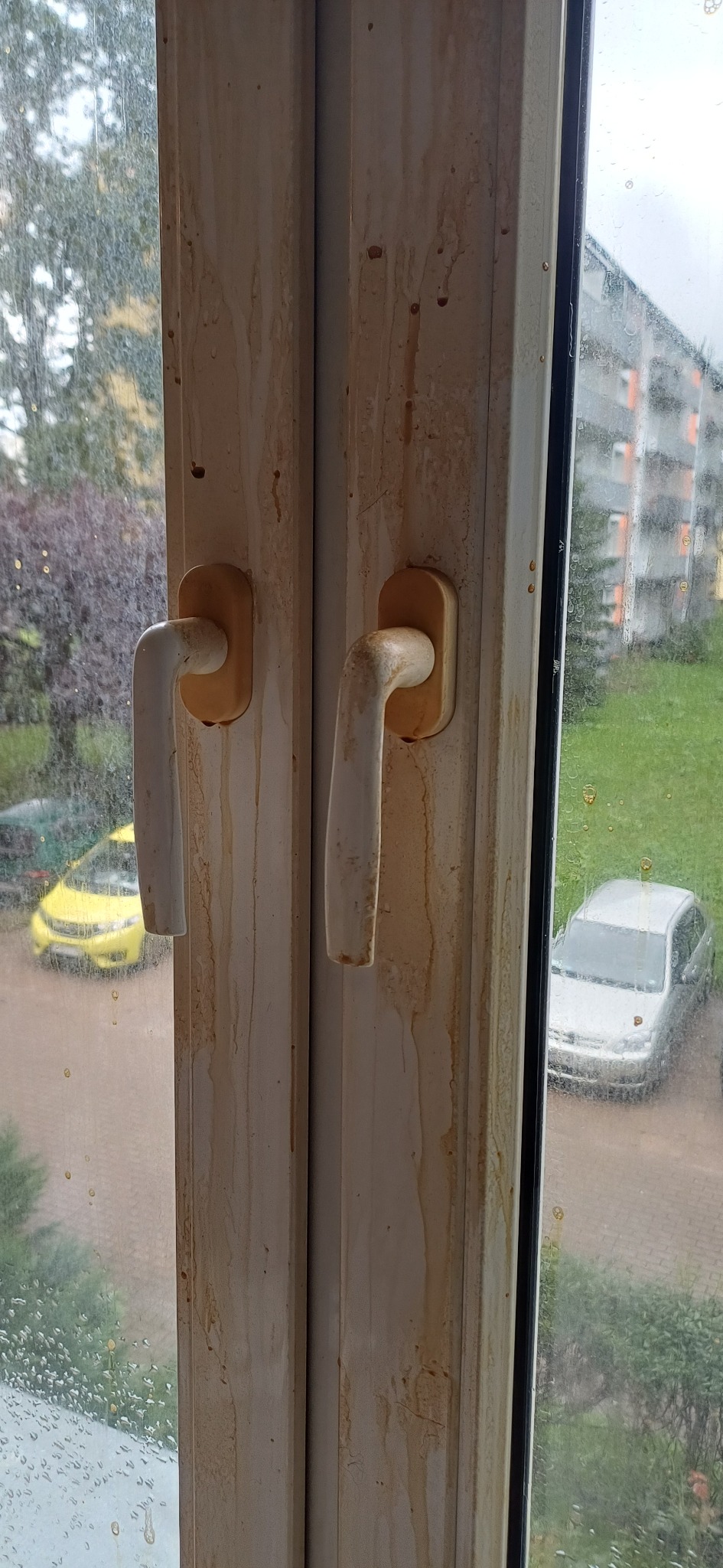 Zabrudzone okno PCV z widocznymi zaciekami i brudem na ramach oraz szybach. Widok na zewnątrz z elementami zieleni i budynków w tle.