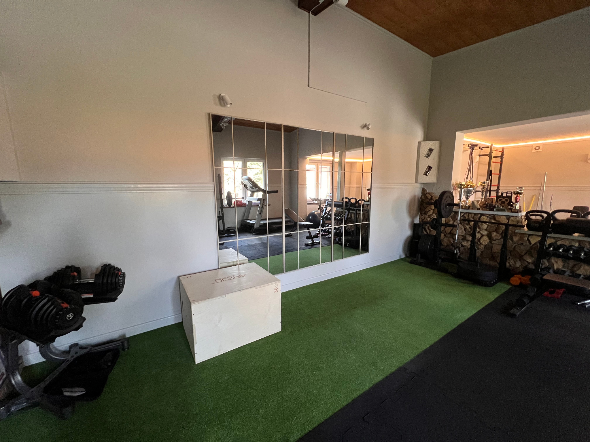 Domowa siłownia z zieloną podłogą, lustrami i sprzętem do ćwiczeń. Widoczne hantle, skrzynia do skakania i inne akcesoria. W tle bieżnia i regał z obciążeniami.