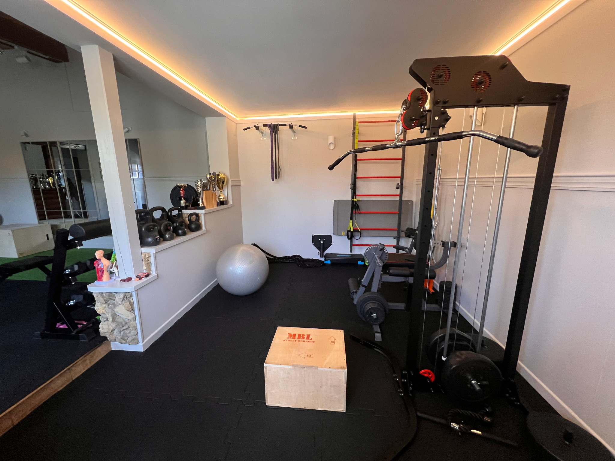 Domowa siłownia z profesjonalnym sprzętem: maszyna do ćwiczeń, drabinki, kettlebells, piłka gimnastyczna i skrzynia do ćwiczeń plyometrycznych. Oświetlenie LED.