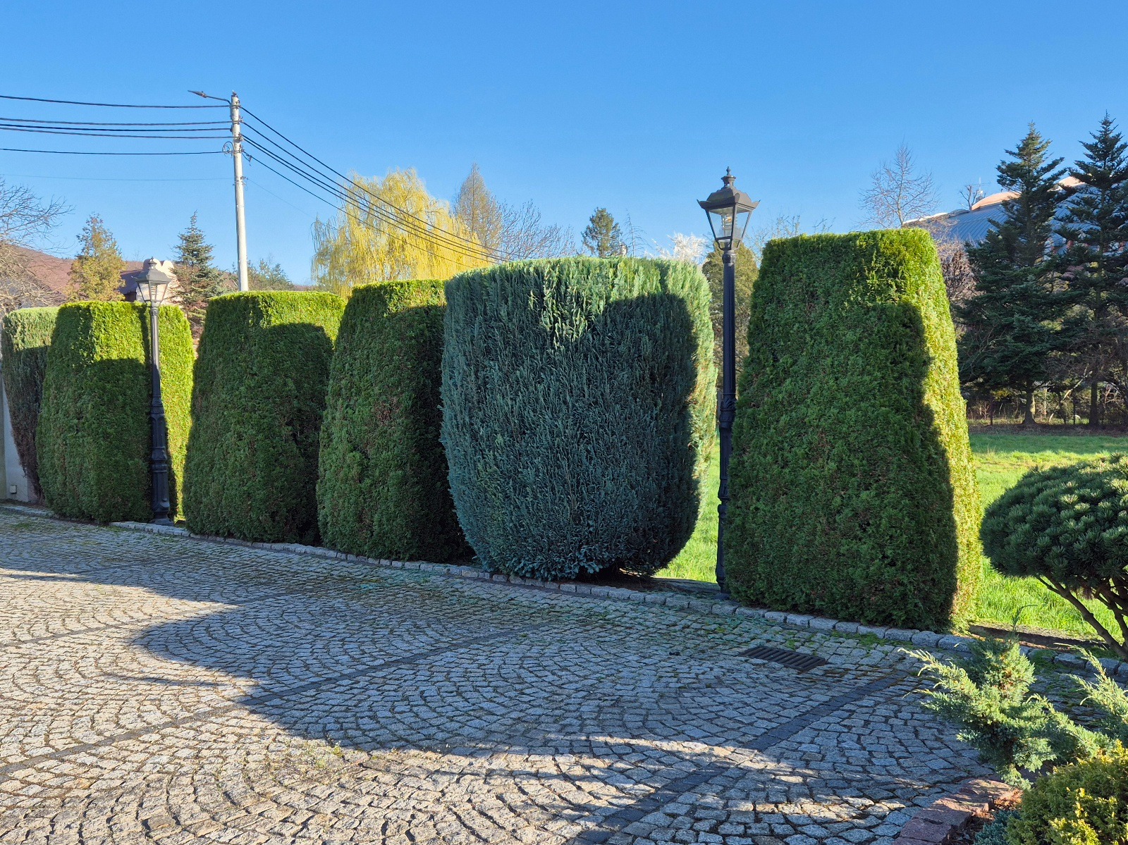 Równy szpaler strzyżonych, zielonych żywopłotów w kształcie kolumn, oddzielonych czarnymi latarniami, na tle błękitnego nieba i brukowanej ścieżki.
