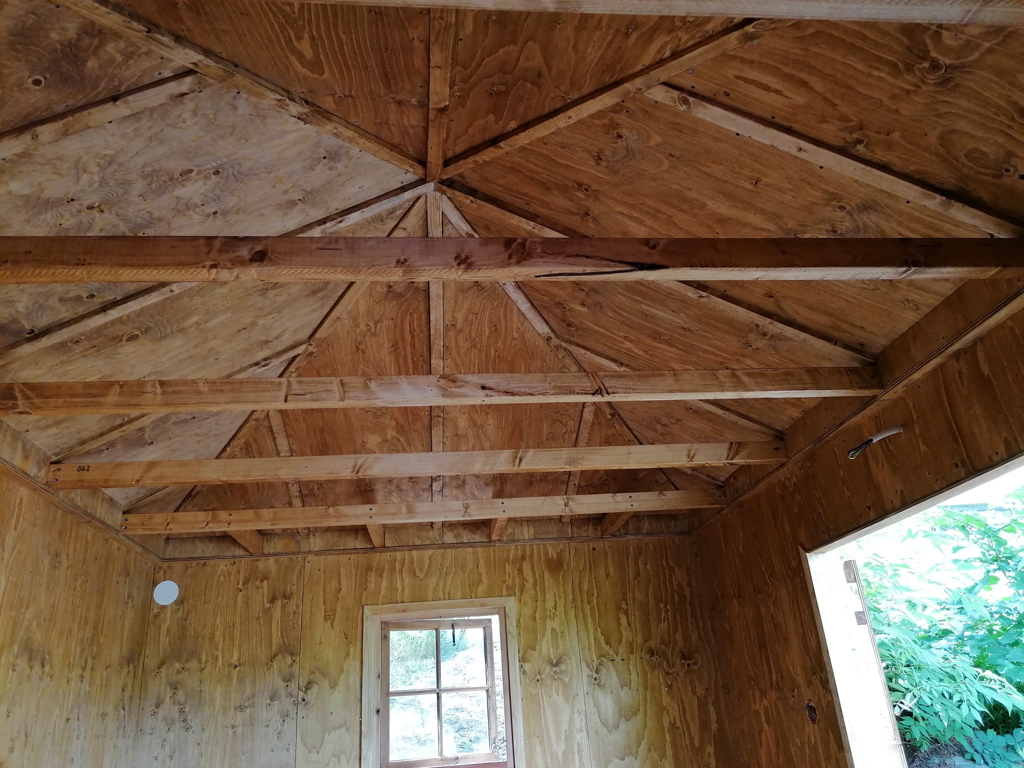 Wnętrze drewnianej konstrukcji z widocznym szkieletem dachu i ścianami z desek. Widoczne okno i fragment zieleni na zewnątrz. Surowy stan wykończenia.