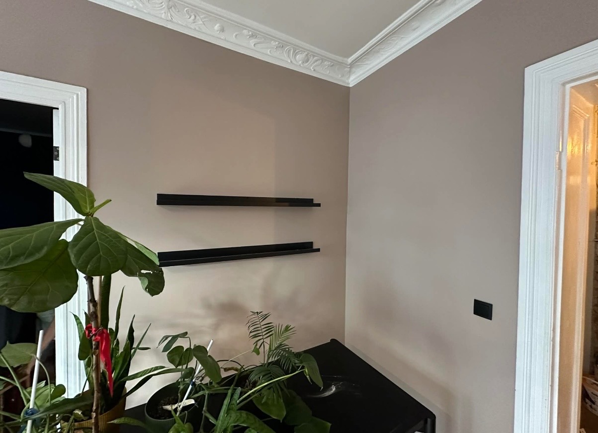 Beżowa ściana po malowaniu z dwiema czarnymi półkami, widoczne rośliny doniczkowe i dekoracyjny gzyms sufitowy. Ujęcie z perspektywy narożnika pokoju.