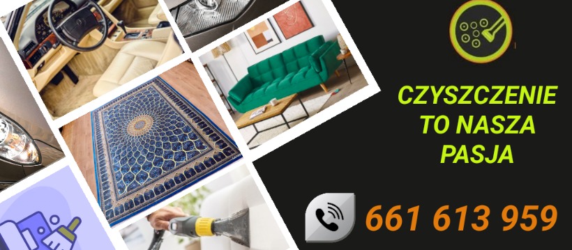 Kolaż: wnętrze auta, dywan, sofa, reflektor, czyszczenie tapicerki, hasło 'Czyszczenie to nasza pasja' i numer telefonu. Usługi czyszczenia.