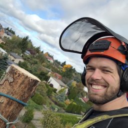 Wycinka drzew Poznań - avatar