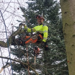 Climbing Lumberjack DAWID KWIATKOWSKI - Arborysta w uprzęży, uśmiechnięty, siedzi na gałęzi drzewa z piłą spalinową. W tle korona drzewa iglastego i niebo. Praca na wysokościach.