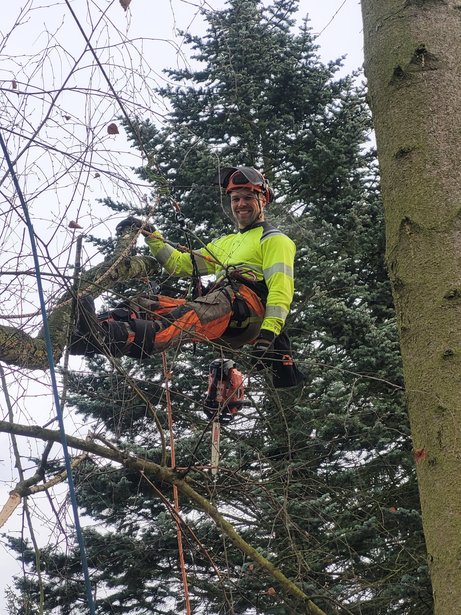 Arborysta w uprzęży, uśmiechnięty, siedzi na gałęzi drzewa z piłą spalinową. W tle korona drzewa iglastego i niebo. Praca na wysokościach.