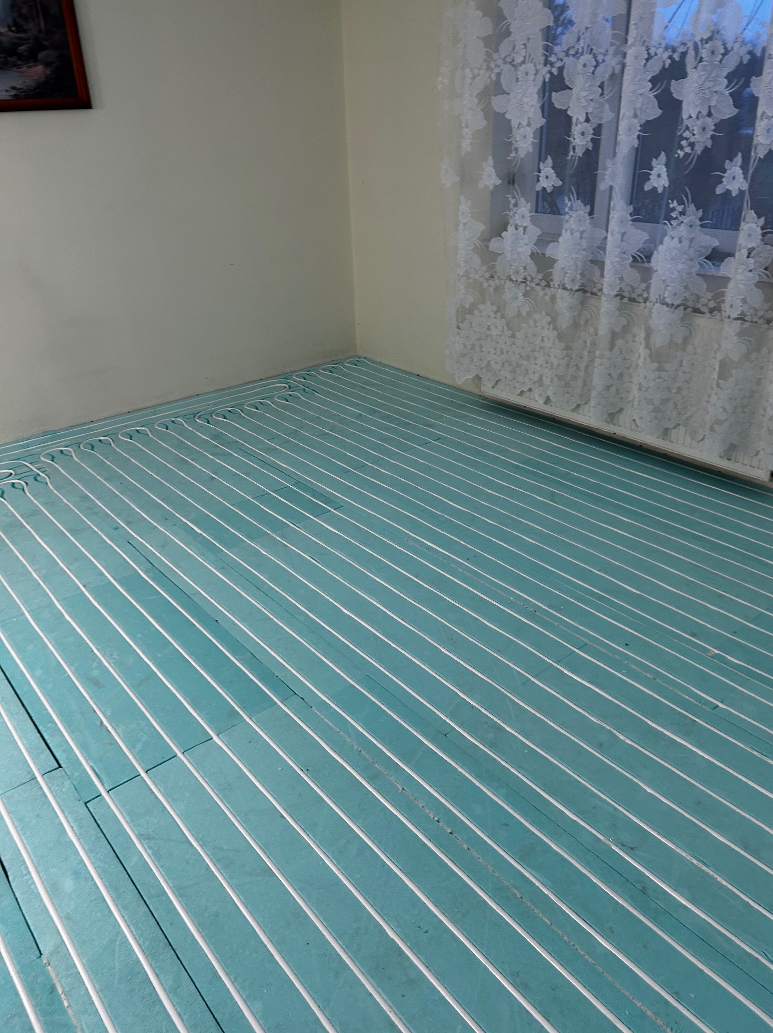 Błękitna izolacja podłogowa z białymi rurami ogrzewania podłogowego, ułożona w regularnych odstępach w rogu pokoju z oknem przysłoniętym białą, kwiecistą firanką.