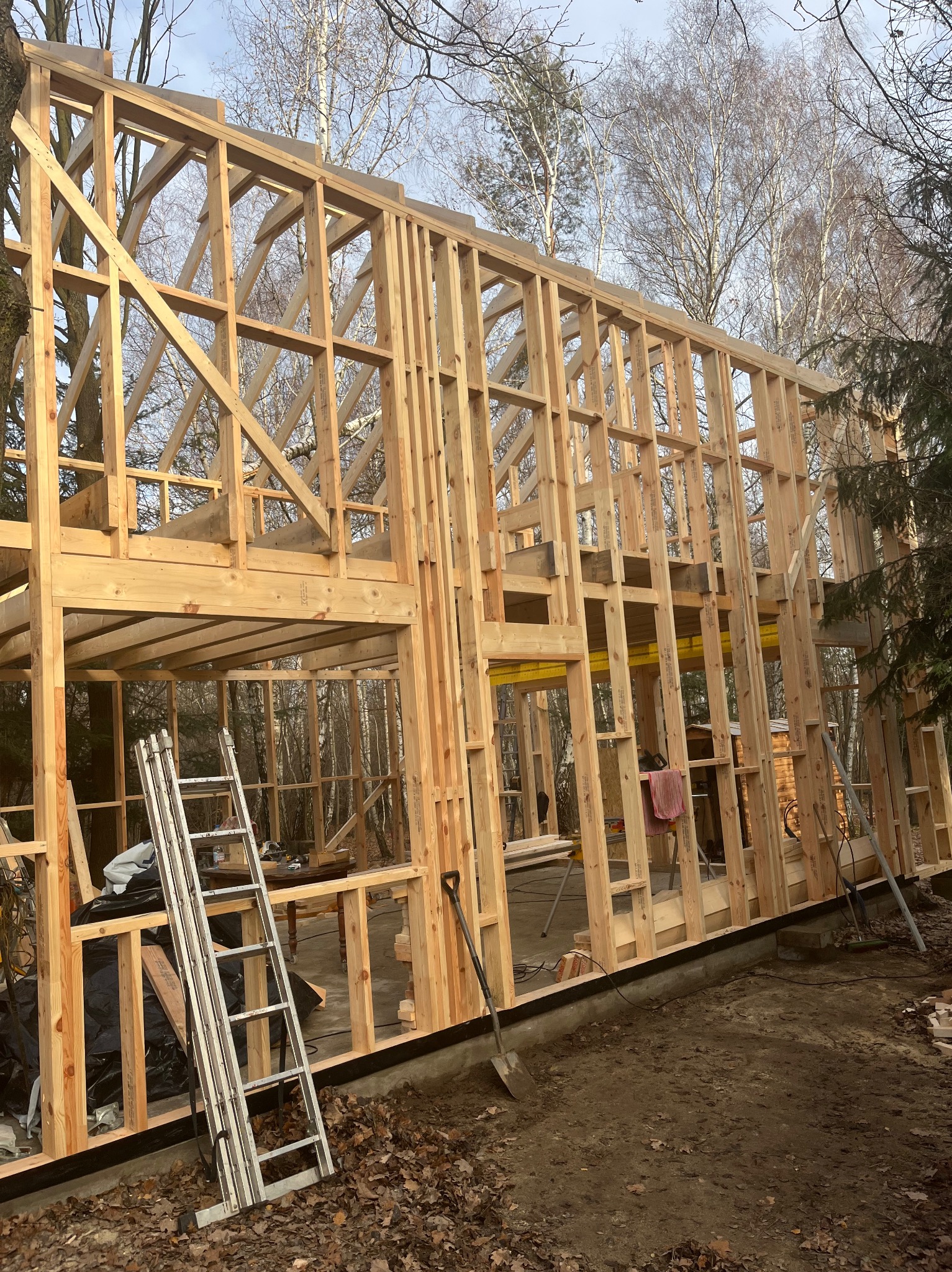 Konstrukcja szkieletowa domu w trakcie budowy, widoczne drewniane elementy, drabina oparta o ścianę, drzewa w tle. Ujęcie z dołu, podkreślające wysokość konstrukcji.