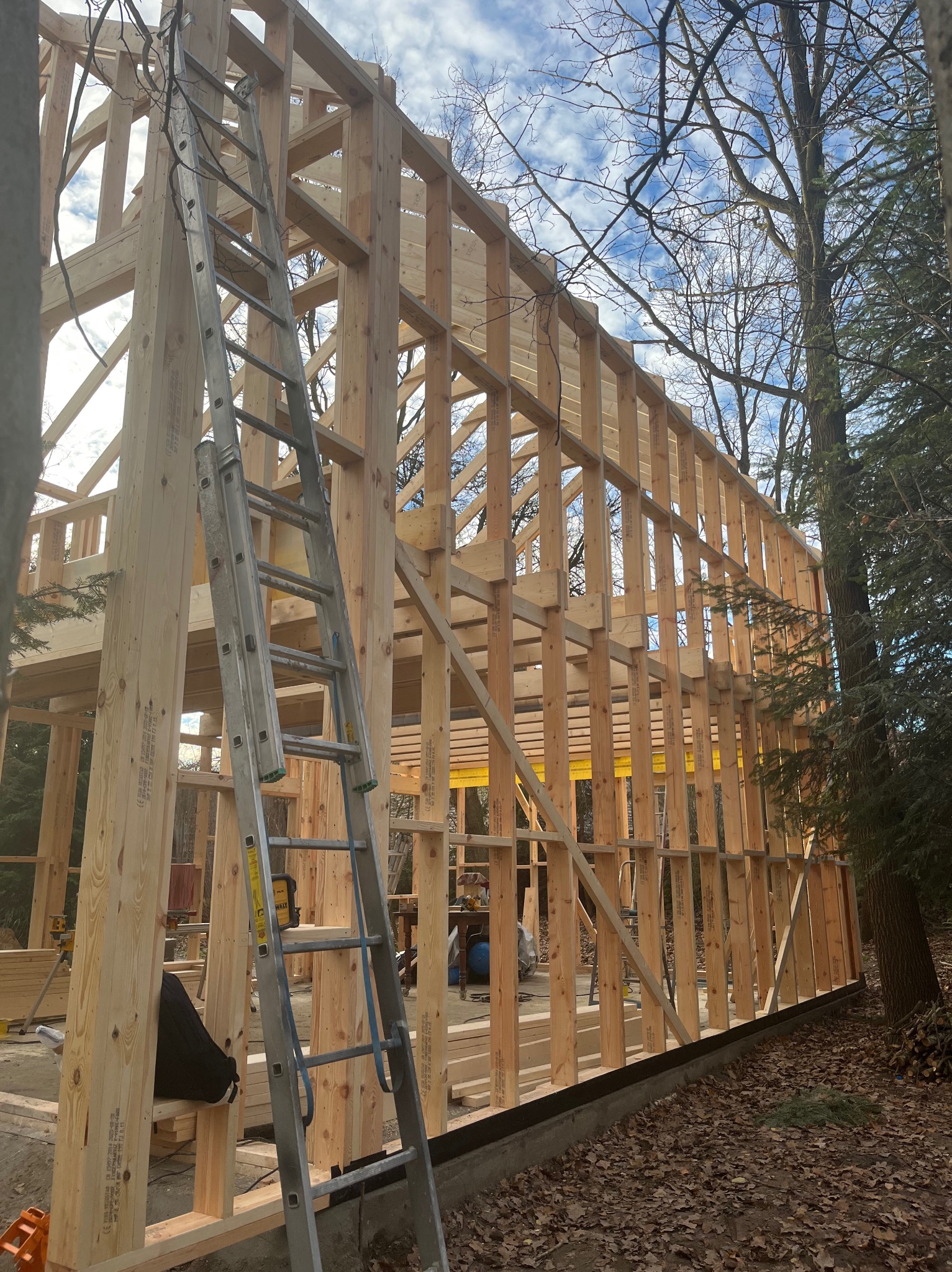 Konstrukcja szkieletowa domu w trakcie budowy, widok z zewnątrz. Drewniane elementy, drabina oparta o ścianę, drzewa w tle, pochmurne niebo.