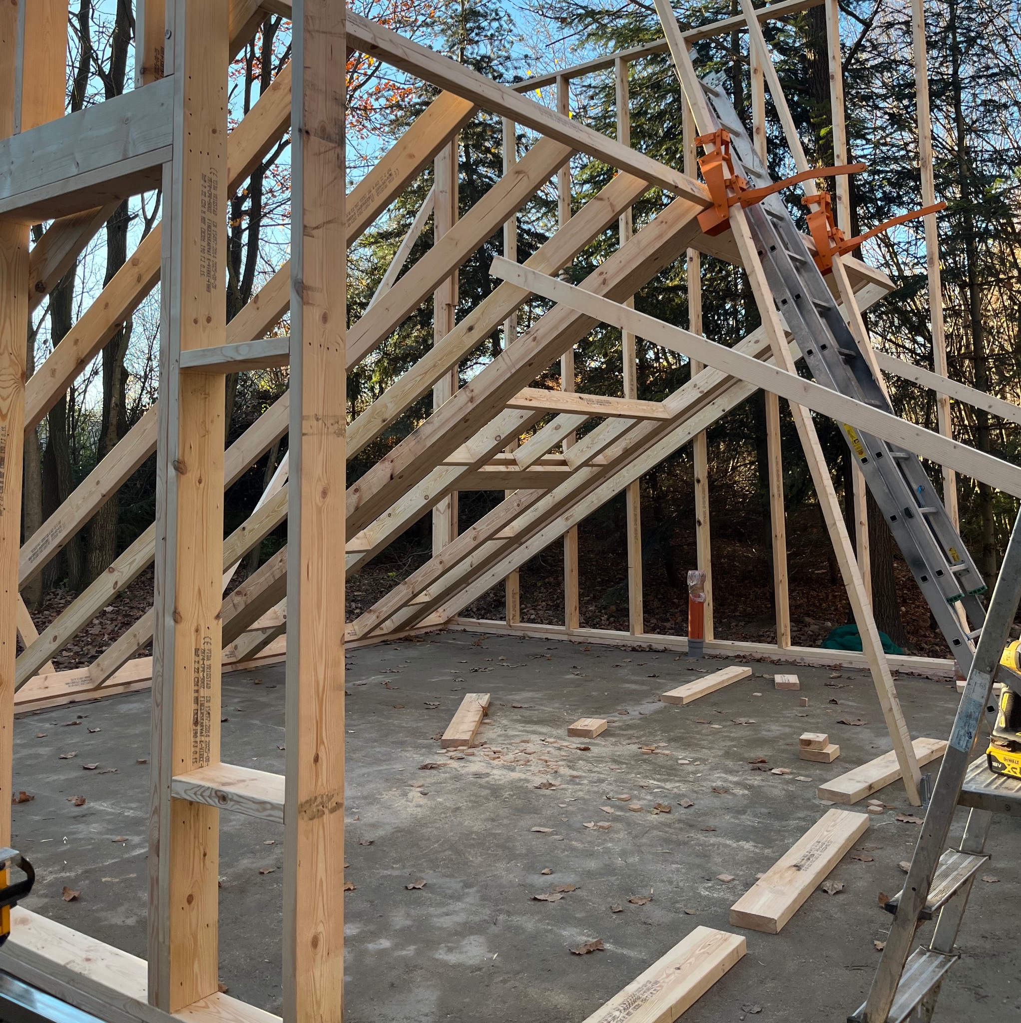 Konstrukcja szkieletowa domu w trakcie budowy, widoczne drewniane elementy, drabina i narzędzia. Tło stanowią drzewa i niebo.