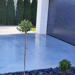 Posadzki przemysłowe Wawrzeńczyce 1