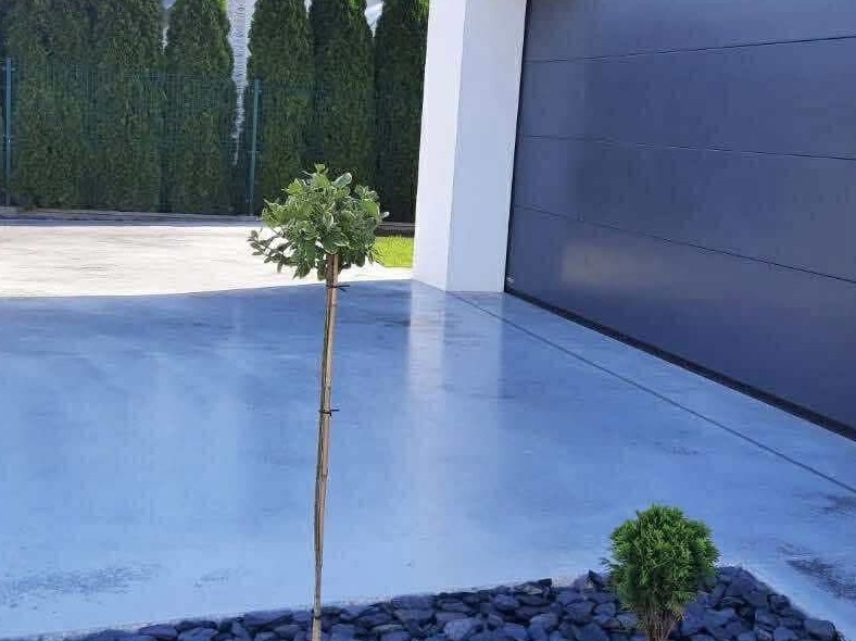 Błękitna, lśniąca posadzka przy garażu, z młodymi drzewkami w minimalistycznym otoczeniu. Gładka powierzchnia odbija światło, podkreślając nowoczesny charakter.