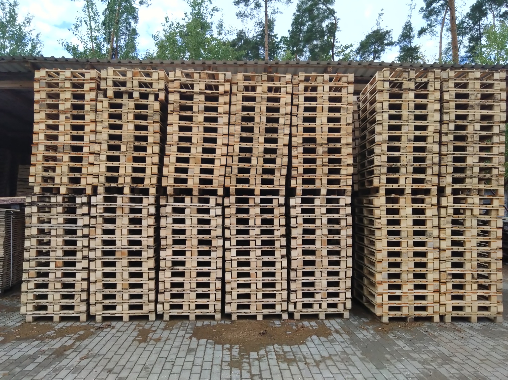 W chynowie produkujemy również palety. Palety z certyfikatem fumigacji PL-14 547