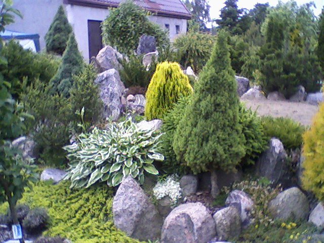 Pielegnacja i zakładanie ogrodów