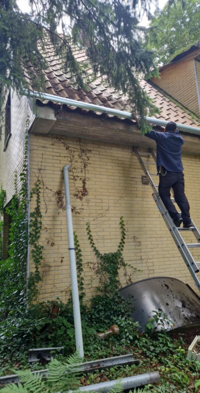 Pracownik na drabinie przy żółtej ścianie budynku z cegły, montujący rynnę. Budynek porośnięty bluszczem, w tle dach z dachówki.