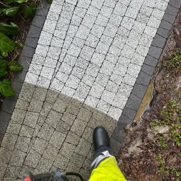 Mycie elewacji Pionki 1