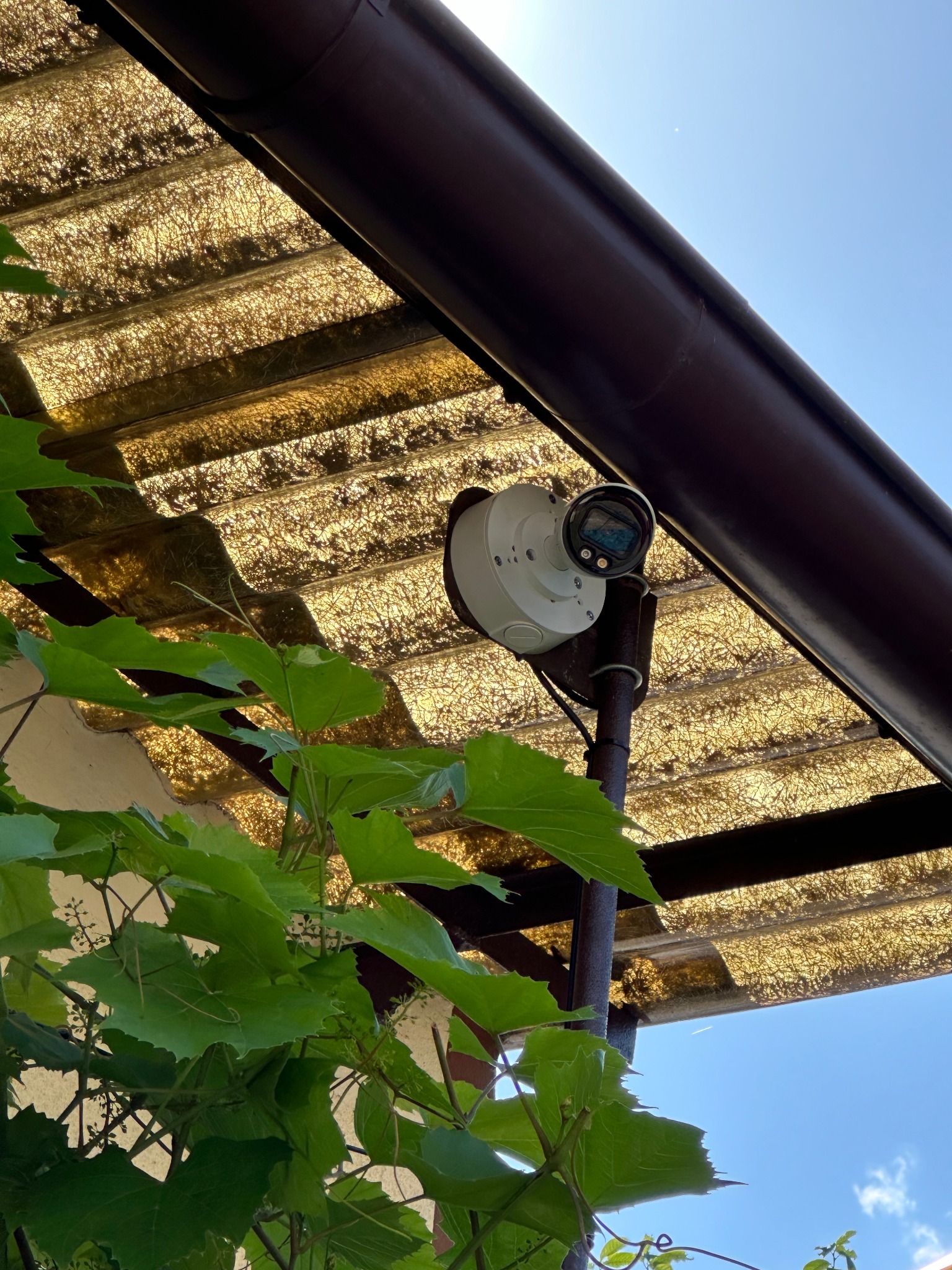 Zewnętrzna kamera monitoringu z wyświetlaczem, zamontowana pod zadaszeniem, widoczna z dołu na tle nieba i zielonych liści winorośli.