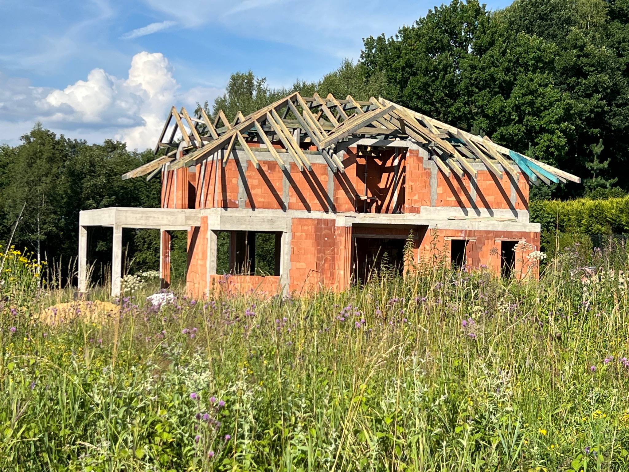 Surowy stan domu z czerwonej cegły, z drewnianą konstrukcją dachu, otoczony bujną roślinnością. Widok na budowę w słoneczny dzień.