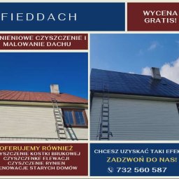 Fieddach - Dom z dachem przed i po czyszczeniu/malowaniu. Po lewej dach czerwony, po prawej granatowy. Na dachu drabina. Oferta: czyszczenie kostki, elewacji, rynien.