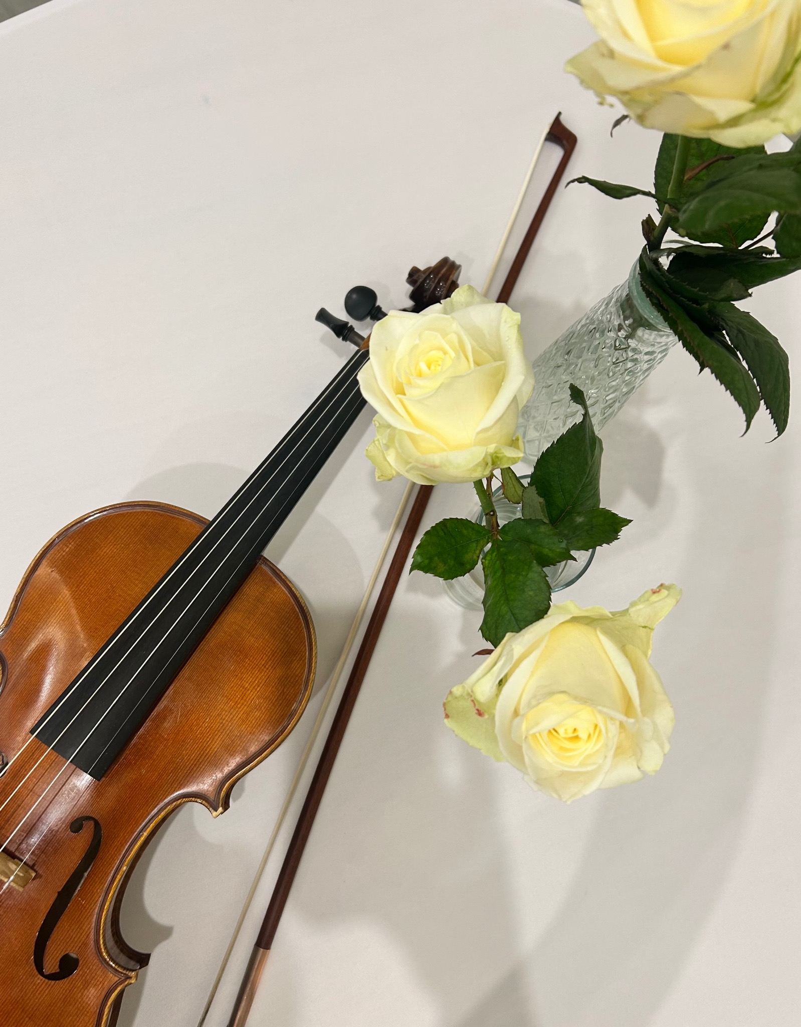 Skrzypce z smyczkiem i wazon z białymi różami na białym tle. Elegancka kompozycja, idealna na uroczystości. Instrument muzyczny i kwiaty.