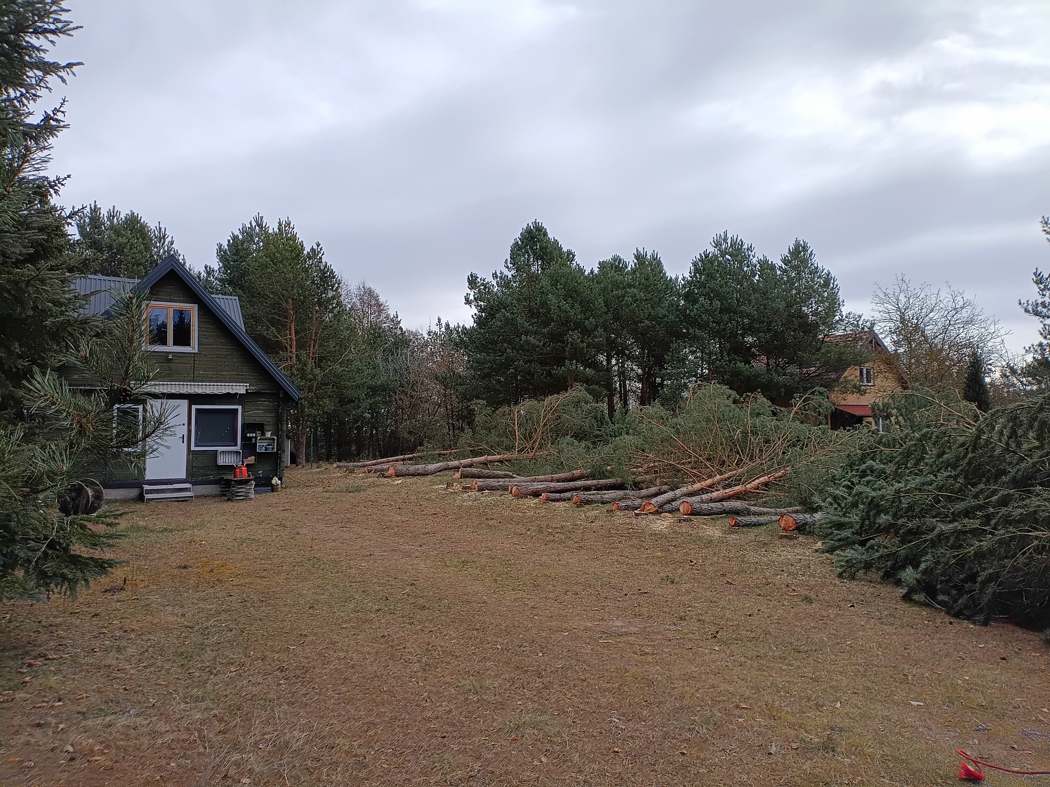Po wycince drzew: pnie i gałęzie leżą na trawniku przed domem z zieloną elewacją. Pochmurne niebo w tle. Widoczne ślady cięcia.