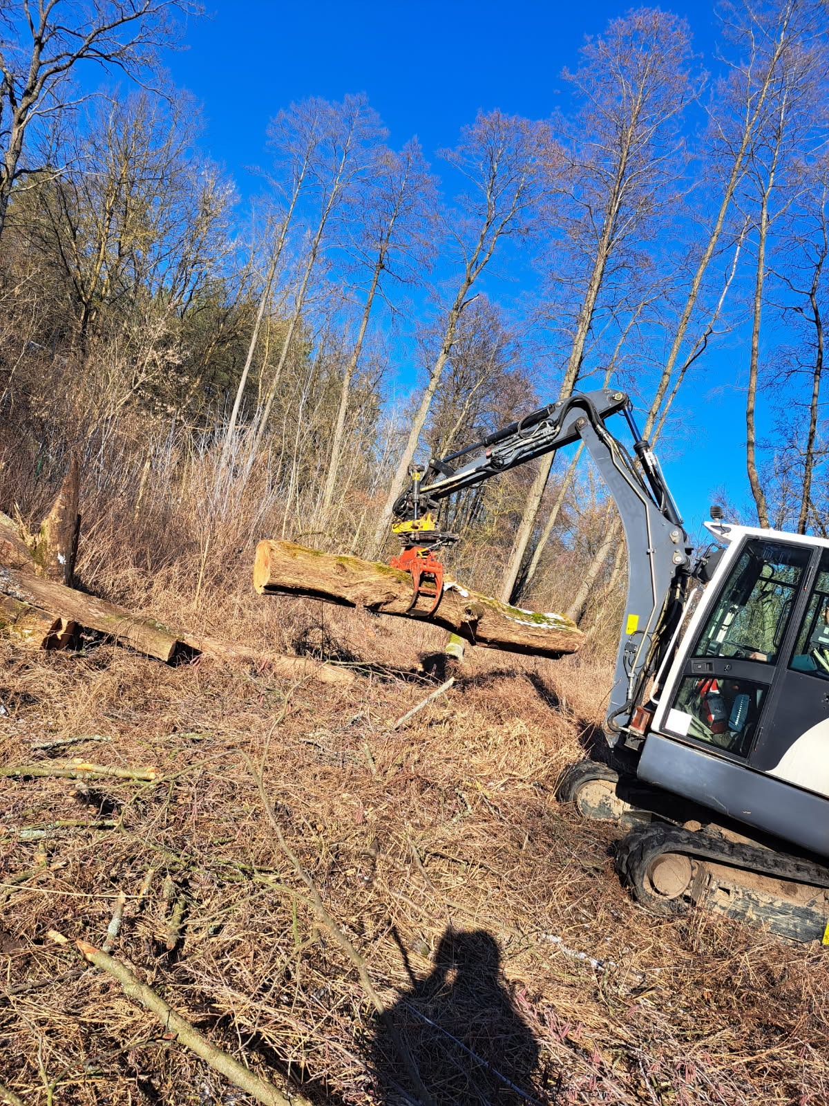 Maszyna leśna z chwytakiem podnosi kłodę drewna na tle lasu z gołymi drzewami i błękitnego nieba. Widoczne ślady po wycince.
