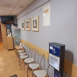 D.M. Daniel Maciejowski - Jasne wnętrze poczekalni z rzędem krzeseł, dozownikiem płynu do dezynfekcji rąk i dekoracjami ściennymi. Widoczne elementy wyposażenia biura.