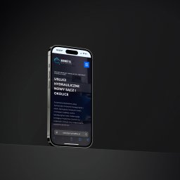 Tworzenie stron internetowych Nowy Sącz 2