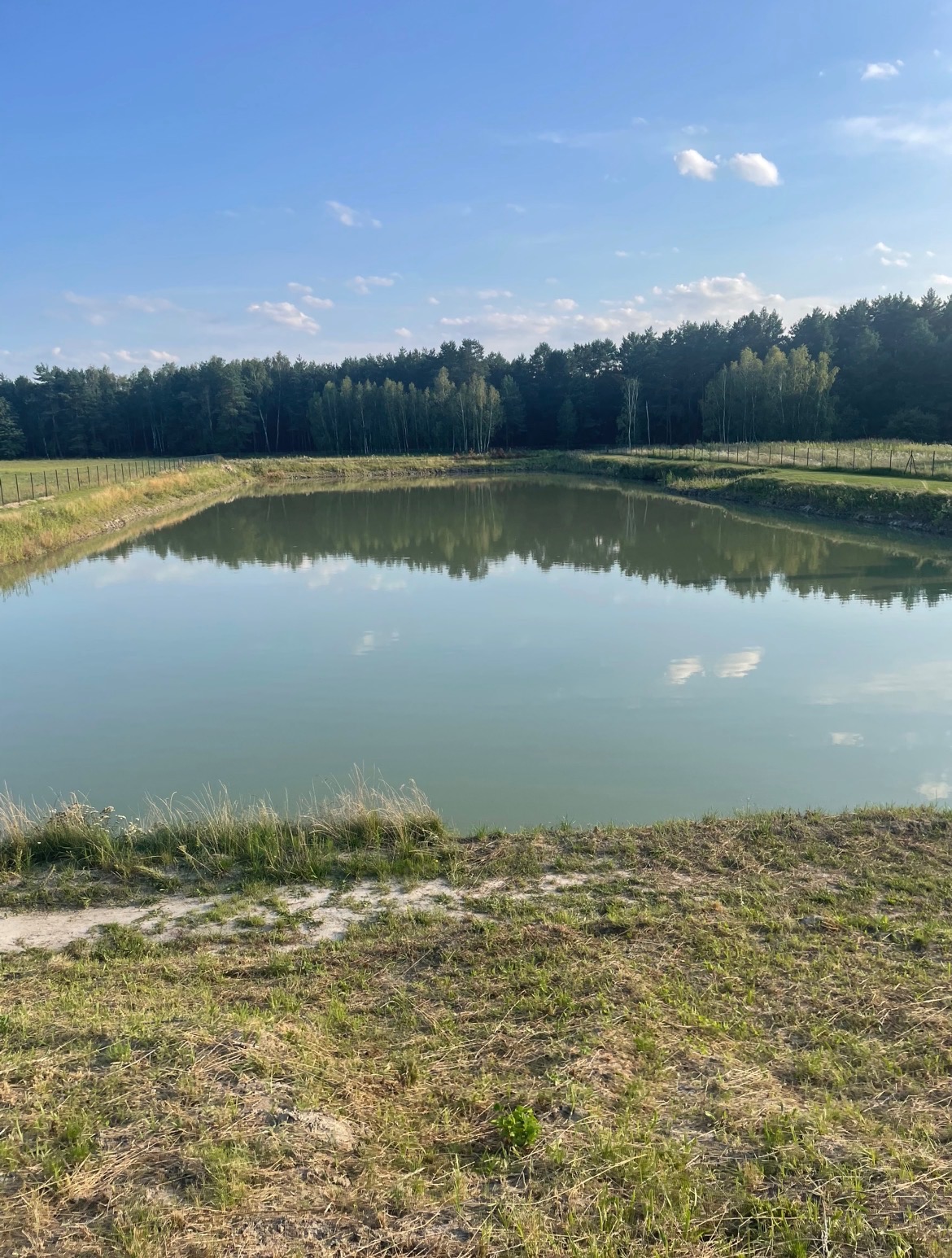 Pełny staw z ogrodzeniem i lasem w tle, odbicie chmur na wodzie, spokojna sceneria w słoneczny dzień. Widok na gotowy zbiornik wodny.
