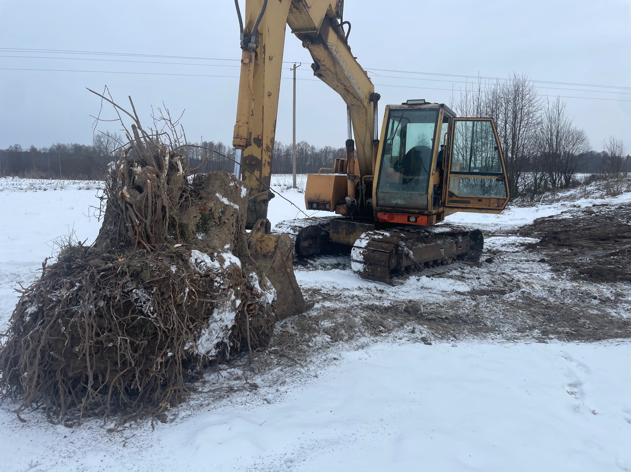 Żółta koparka z otwartymi drzwiami kabiny, w zimowym krajobrazie, trzyma w łyżce wykopany pień drzewa z korzeniami. Ślady opon na śniegu.