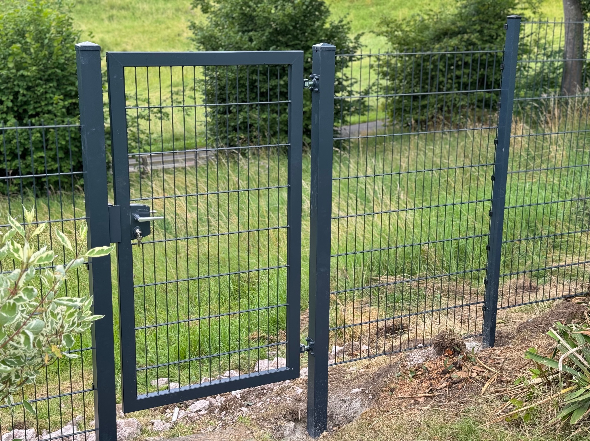 Otwarta, metalowa furtka w systemie ogrodzeniowym z siatki, pomalowana na grafitowo. Widoczne słupki i zamek. Trawa i zieleń w tle.
