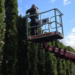 Fast-Up usługi podnośnikiem - Pracownik w podnośniku koszowym przycina wysokie tuje, tworząc równy żywopłot. Widoczne narzędzia pracy i numer kontaktowy na platformie.