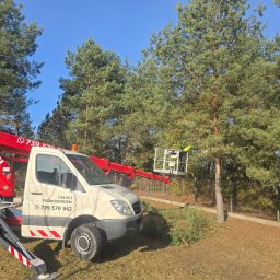 Fast-Up usługi podnośnikiem - Biały samochód z czerwonym podnośnikiem koszowym na tle zielonych drzew i błękitnego nieba. W koszu pracownik w kasku. Obok leżą ścięte gałęzie.