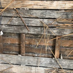 Rozbiórki budynków Malbork 3