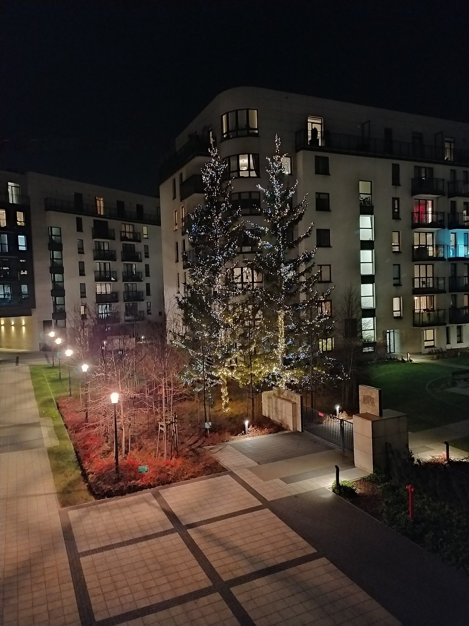 Nocny widok na oświetlone drzewka przed budynkiem mieszkalnym z balkonami. Oświetlony chodnik i trawnik. Dekoracje świąteczne na zewnątrz budynku.