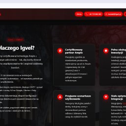 igvel.pl - realizacja z branży smart home w Lesznie, SEO lokalnie