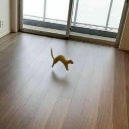 Wdowiak & Wdowiak - Usługi Skręcania Mebli Kębłowo