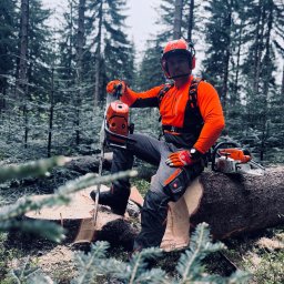 Wycinka drzew Brenna 1