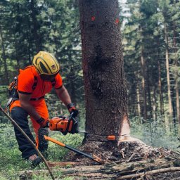 Wycinka drzew Brenna 3