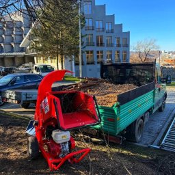 Wycinka drzew Brenna 4