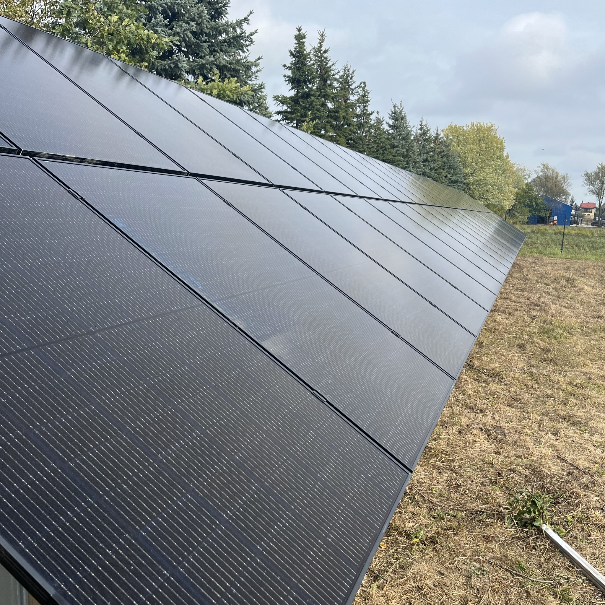 Rząd paneli fotowoltaicznych w czarnych ramach, zainstalowanych na trawiastym terenie, z widocznymi drzewami w tle i pochmurnym niebem. Ujęcie z dołu pod kątem.