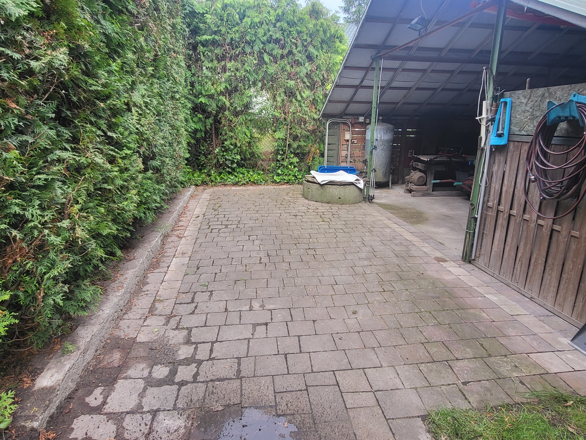 Kostka przed umyciem